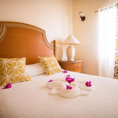 Connie'S Comfort Suites St. John's Zewnętrze zdjęcie
