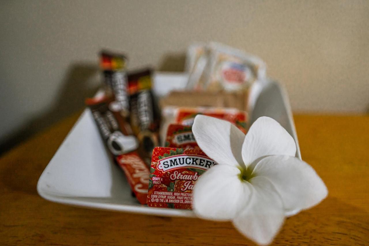 Connie'S Comfort Suites St. John's Zewnętrze zdjęcie
